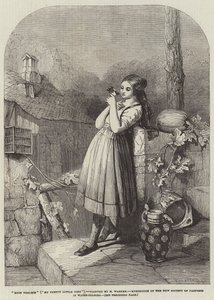 My Pretty Little Bird by Henry Warren